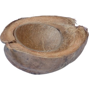 Proflora Kokosschale Vogeltränke, längs geschnitten, naturbelassene Gartendekoration.