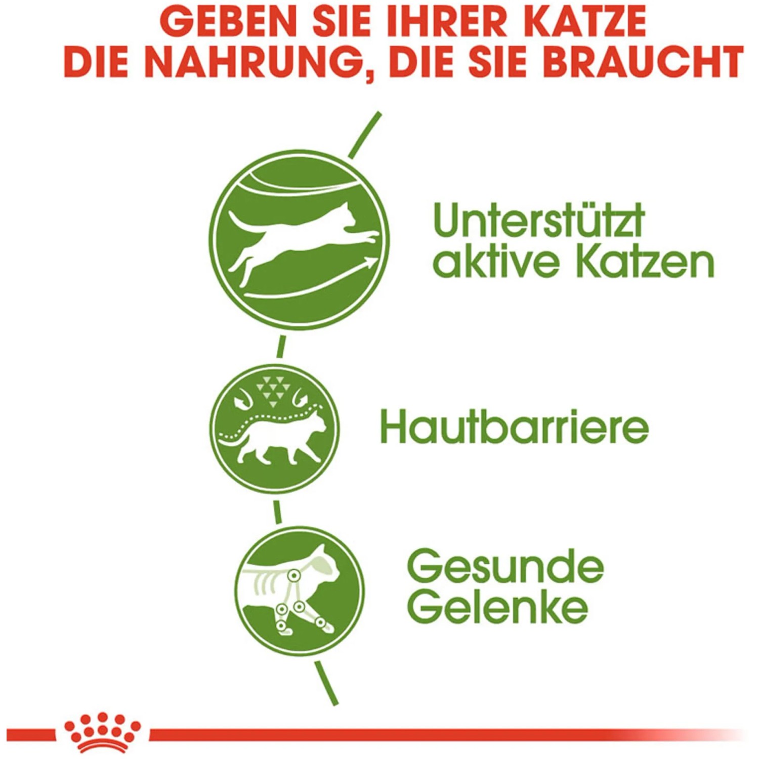Grafik: Royal Canin Outdoor Katzenfutter – Unterstützung für aktive Katzen, Hautbarriere und gesunde Gelenke.