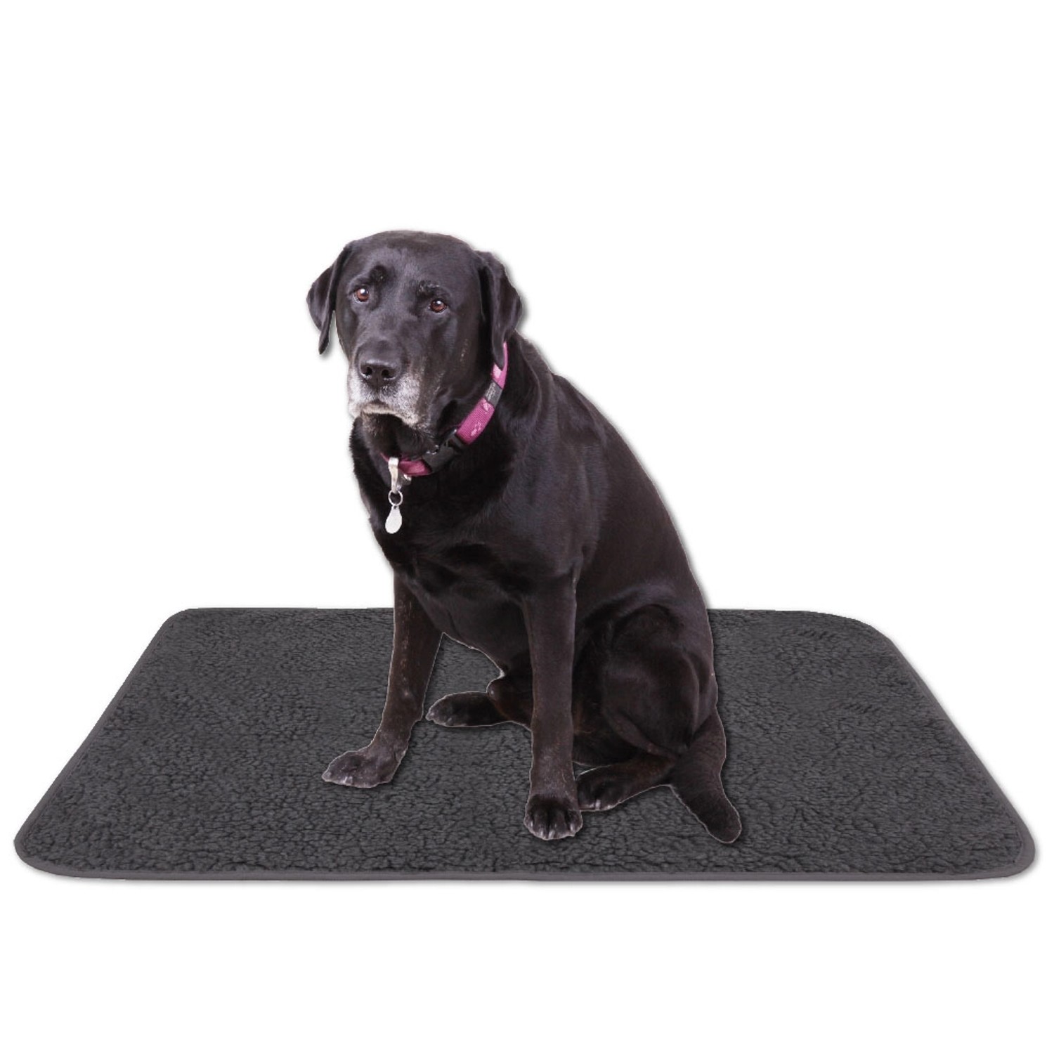 Bestlivings Tierdecke Lammflor, 90x140 cm, dunkelgrau. Hund sitzt auf der Decke.