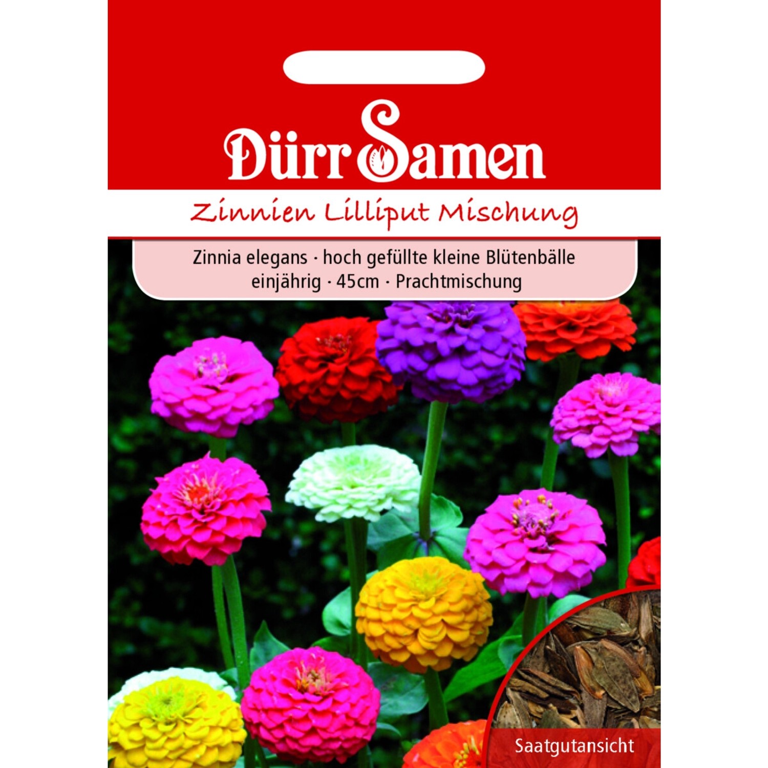 Dürr Samen Zinnien Lilliput Prachtmischung Einjährig Saatgut günstig online kaufen