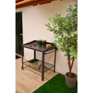 DELUKE Pflanztisch TURKU Mobil Anthrazit Stahl Gärtnertisch Garten-Arbeitstisch Umtopftisch Blumentisch