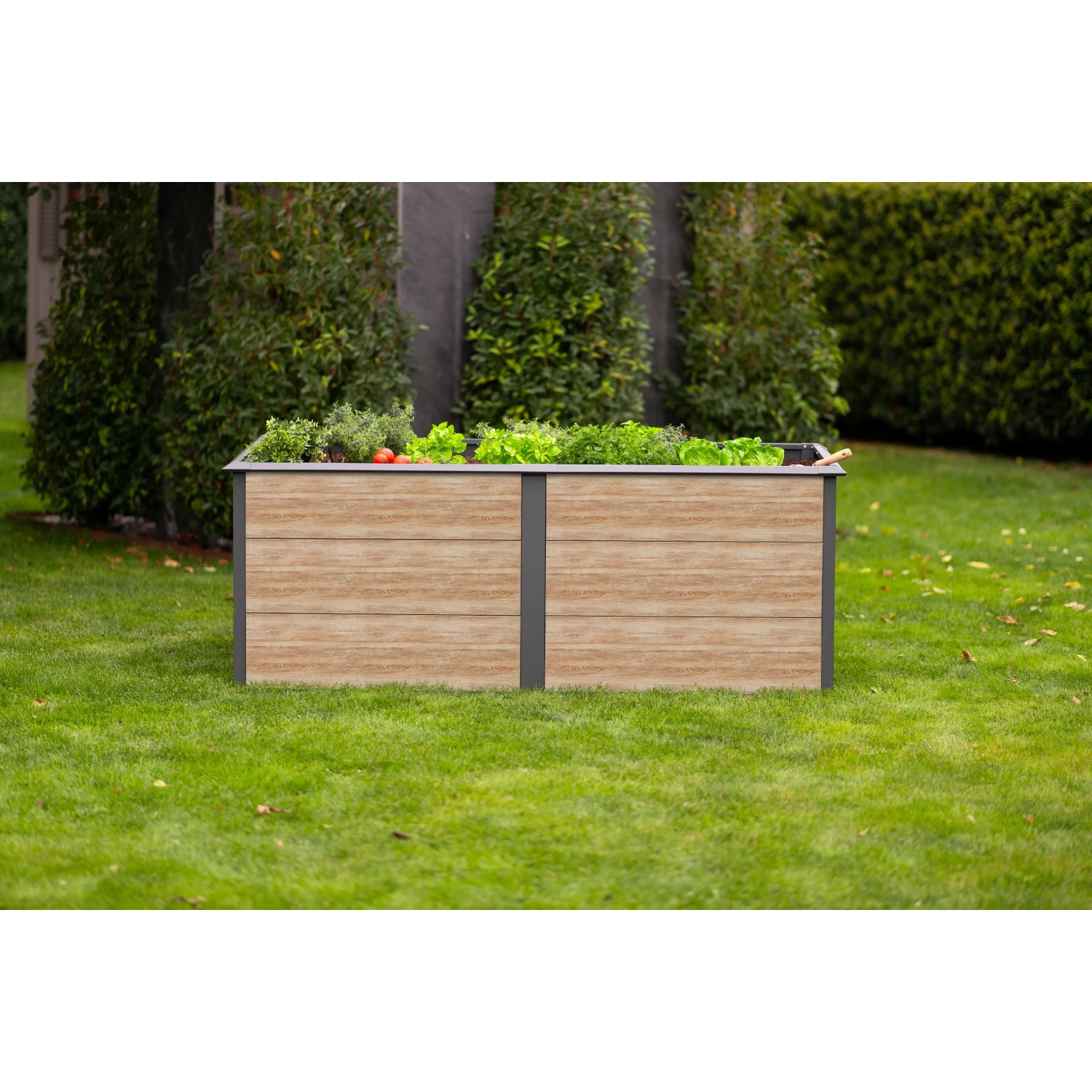 Westmann Hochbeet Primus-Multi, 2x1m, Anthrazit/Holzoptik, bepflanzt im Garten.