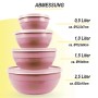 ProHome Vorratsdosen 4er Set Rund Rosa: Frischhaltedosen aus Kunststoff in verschiedenen Größen.