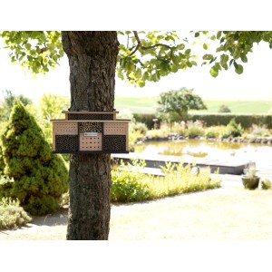 WONDERMAKE Insektenhotel bellabee1 aus Eukalyptusholz am Baum, Nisthilfe für Wildbienen.