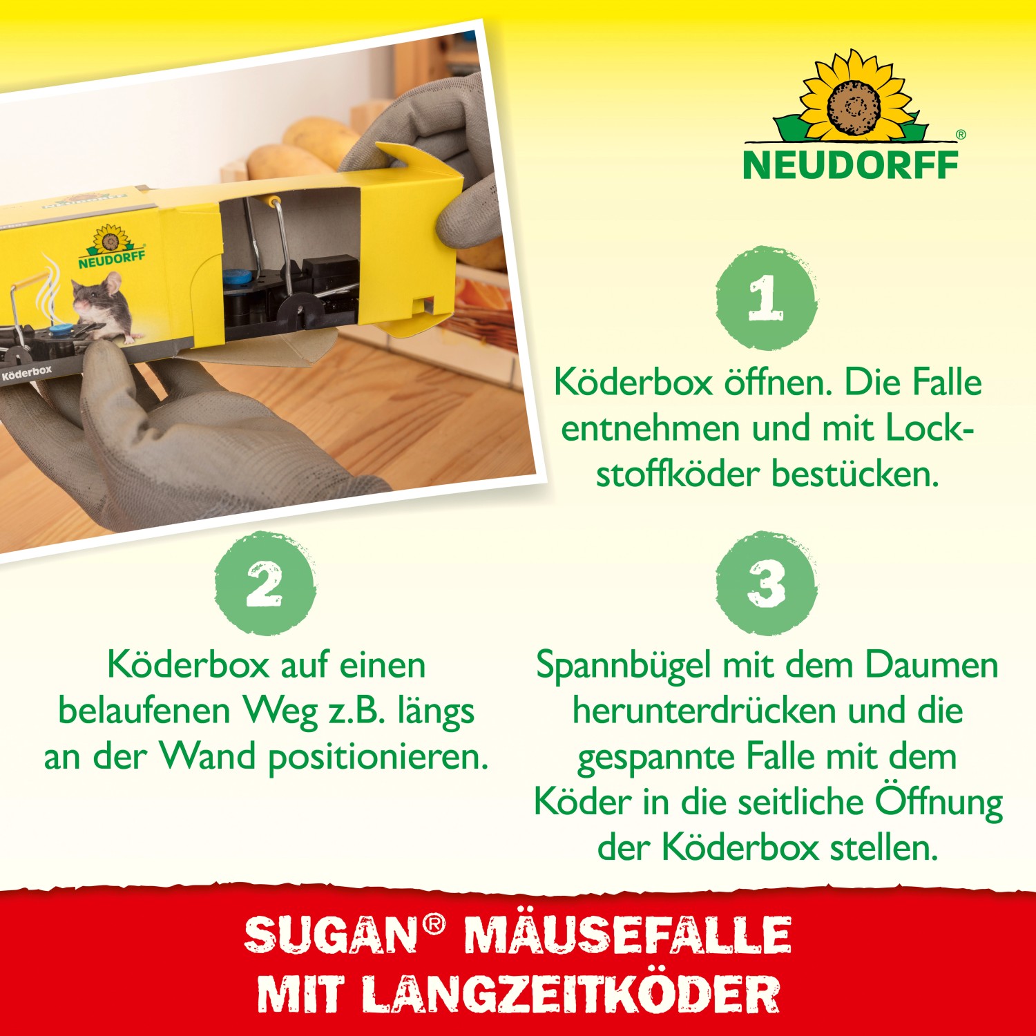 Neudorff Sugan Mäusefalle mit Langzeitköder, Anwendung in 3 Schritten erklärt.