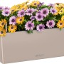 Lechuza Balconera Color 50 Blumenkasten in Sandbraun, bepflanzt mit bunten Margeriten.