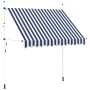 vidaXL Einziehbare Markise, blau-weiß gestreift, 250 cm breit. Ideal für Terrasse und Balkon.