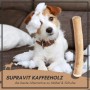 Jack Russell Terrier mit Supravit Kaffeeholz Kauknochen M inmitten von Füllwatte auf Sofa.