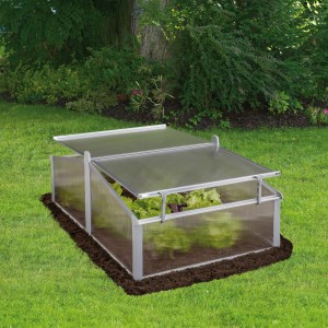 Transparentes Juwel Thermo-Frühbeet 115x75 cm mit geöffnetem Fenster im Garten.