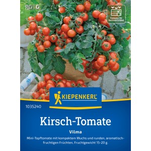 Kiepenkerl Balkontomaten Vilma im Topf mit reifen, roten Kirschtomaten.