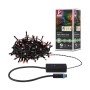 Paulmann LED-Lichterkette Yuna Plug & Shine RGB Schwarz 10m, aufgerollt mit Steuerung und Verpackung. Smarte Außenbeleuchtung.