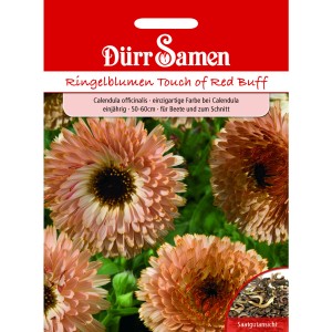 Dürr Samen Ringelblumen 'Touch of Red Buff', einjährige Blumensamen für Beet und Schnittblumen.