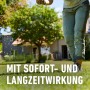 Anwendung von Compo BIO Rasendünger im Garten. Der Rasen wird gedüngt.