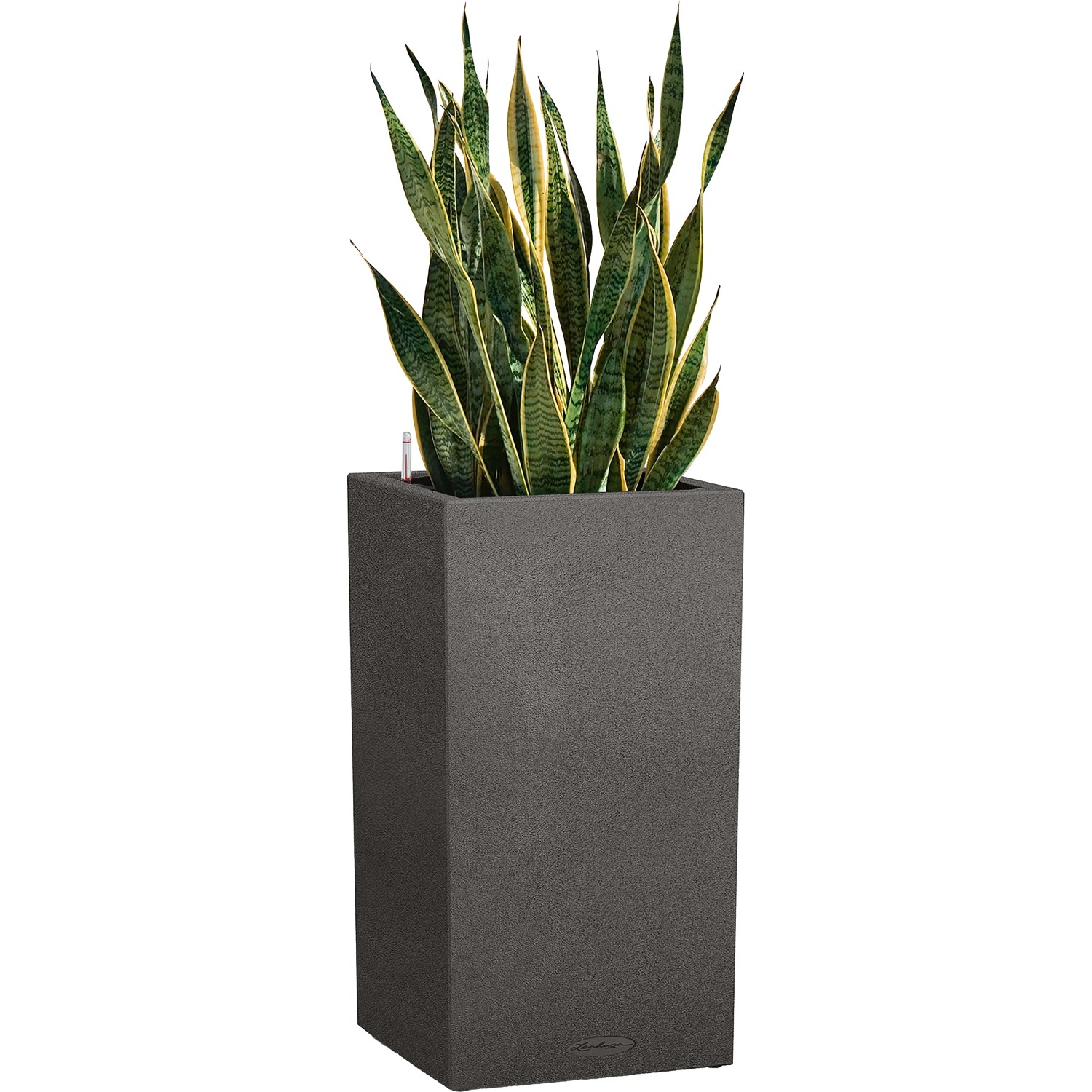 Lechuza Canto Stone high Pflanzgefäß, graphitschwarz, 40x76cm, mit Bewässerungssystem.