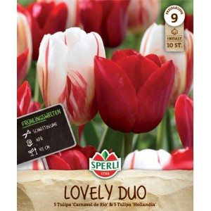 Sperli Blumenzwiebel Frühlingsgarten Lovely Duo mit roten und weißen Tulpen.