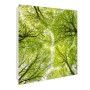 Banjado Schlüsselkasten Glas 30x30cm mit Baumkronen Motiv, weiß, 50 Haken.