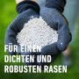 Hände halten COMPO Rasen-Langzeitdünger (3 kg). Rasendünger für dichten, grünen Rasen.