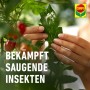 Compo Schädlingsfrei Plus: Hände schützen Blatt vor saugenden Insekten. Mittel gegen Blattläuse für gesunde Pflanzen.