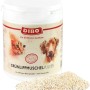 Dibo Grünlippmuschelpulver für Hunde und Katzen, Ergänzungsfutter im weißen Behälter mit Pulver.