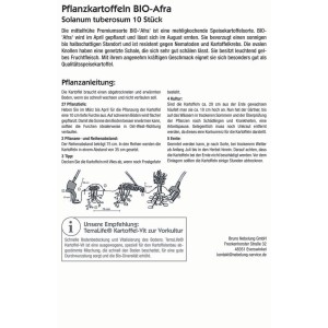 Kiepenkerl Bio-Pflanzkartoffel Afra, 10 Stück, mehligkochend, ideal für Püree und Klöße.