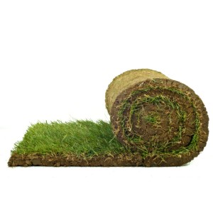 Aufgerollter Premium-Rollrasen, geeignet für den Garten. Strapazierfähig und schnell regenerierend.