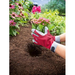 Hände mit rot-grauen Gartenhandschuhen pflanzen Blume in Erde. Arbeitshandschuhe schützen.