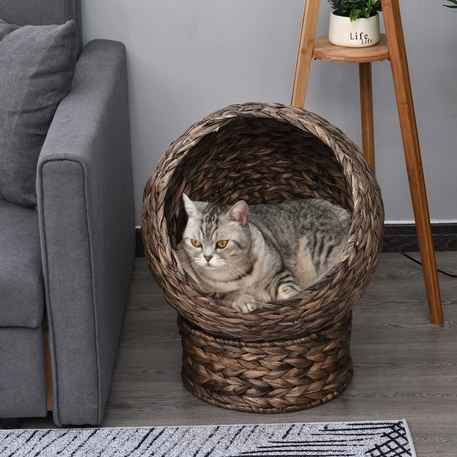 Katze liegt im runden PawHut Rattan Katzenkorb mit erhöhtem Bett.
