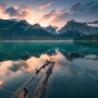 Vlies Fototapete Burning Emerald: Bergsee-Landschaft mit Baumstamm im Wasser.