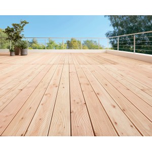 Terrasse mit Douglasie Terrassendielen (2,8x14,5x300cm) und Geländer. Holzterrasse mit Pflanzen.