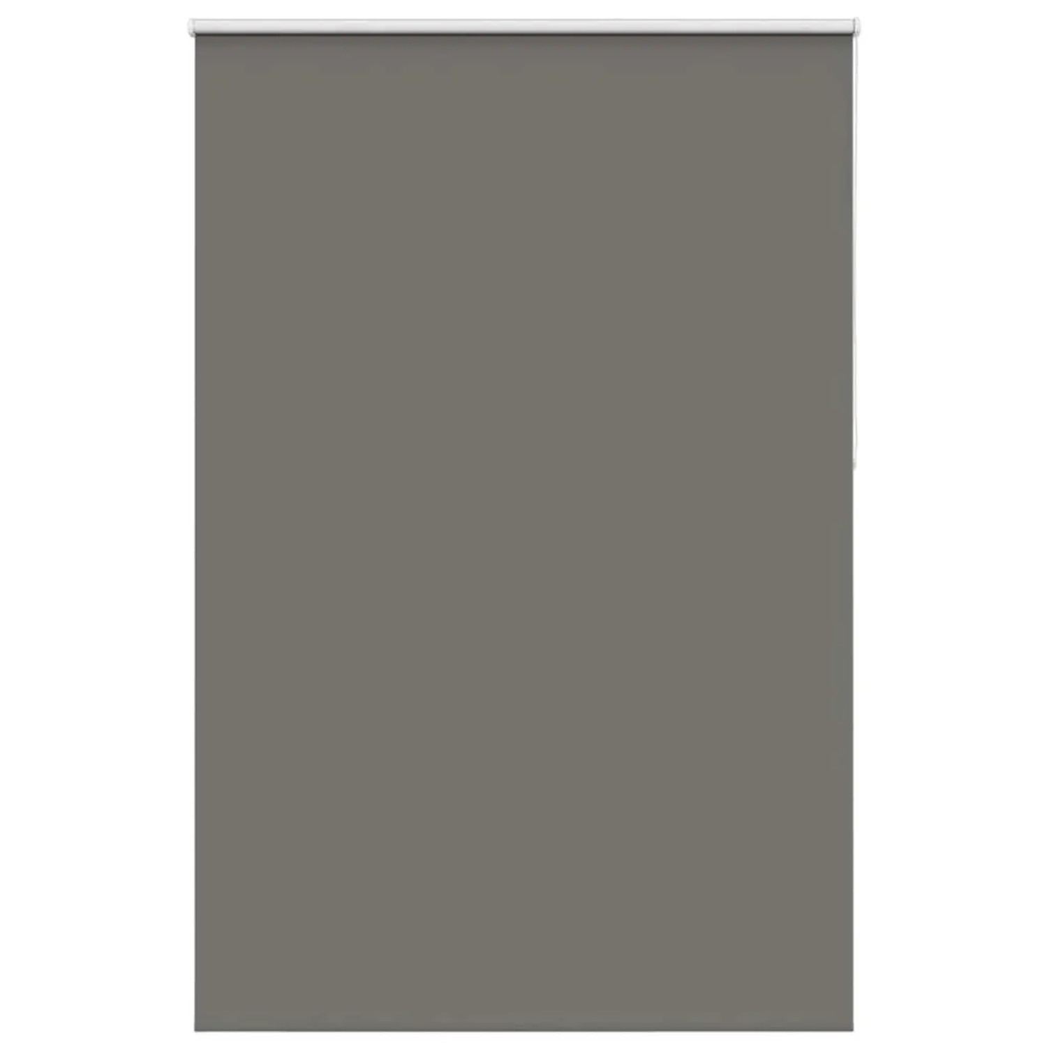 vidaXL Verdunkelungsrollo Grau 155x230cm Stoffbreite 151,6cm Polyester 4011 günstig online kaufen