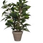Mica Decorations Kunstpflanze Ficus Natasja, 40 cm hoch, im grauen Topf. Dekorative Birkenfeige.