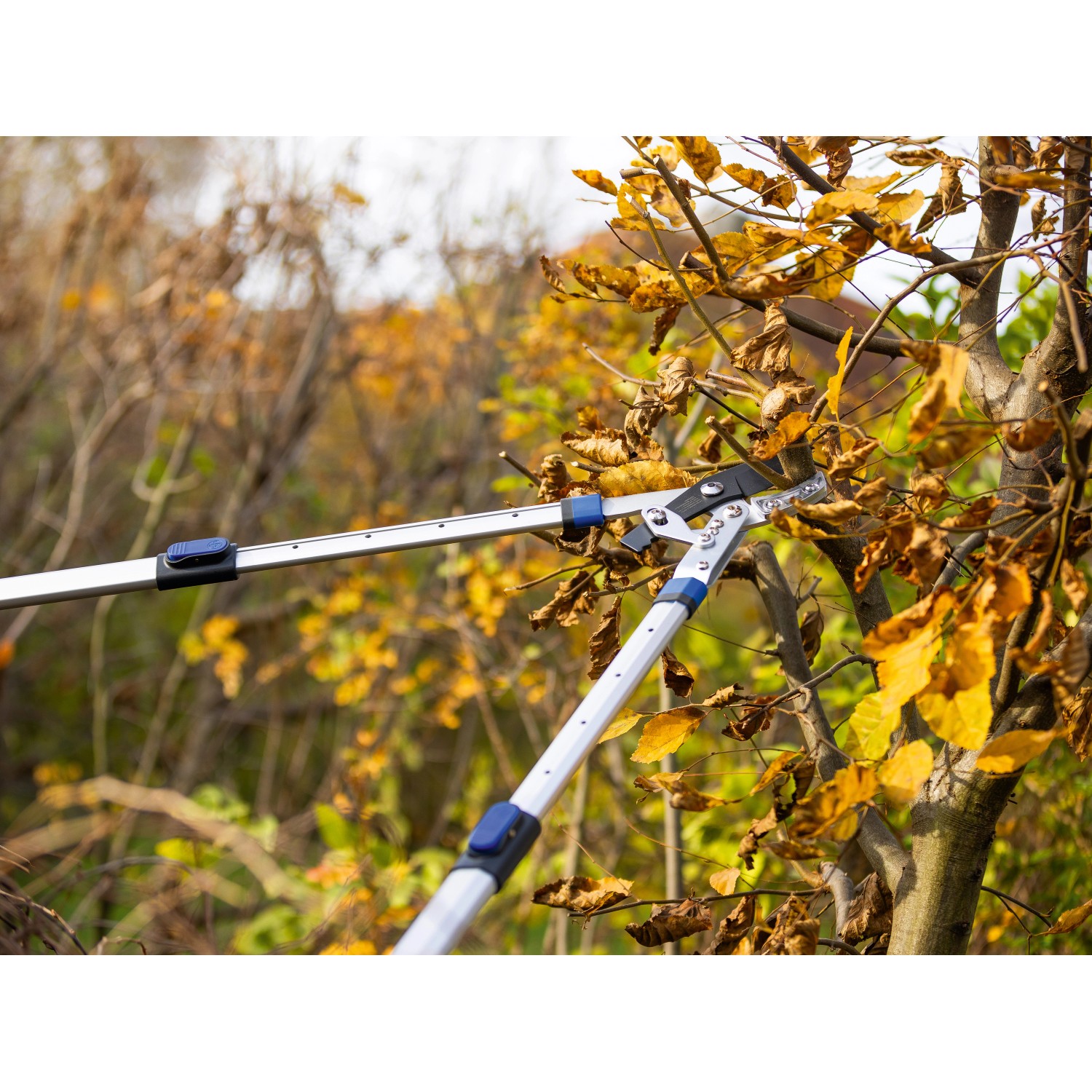 LUX Ratschen-Amboss Astschere Classic beim Schneiden von Ästen im Garten.