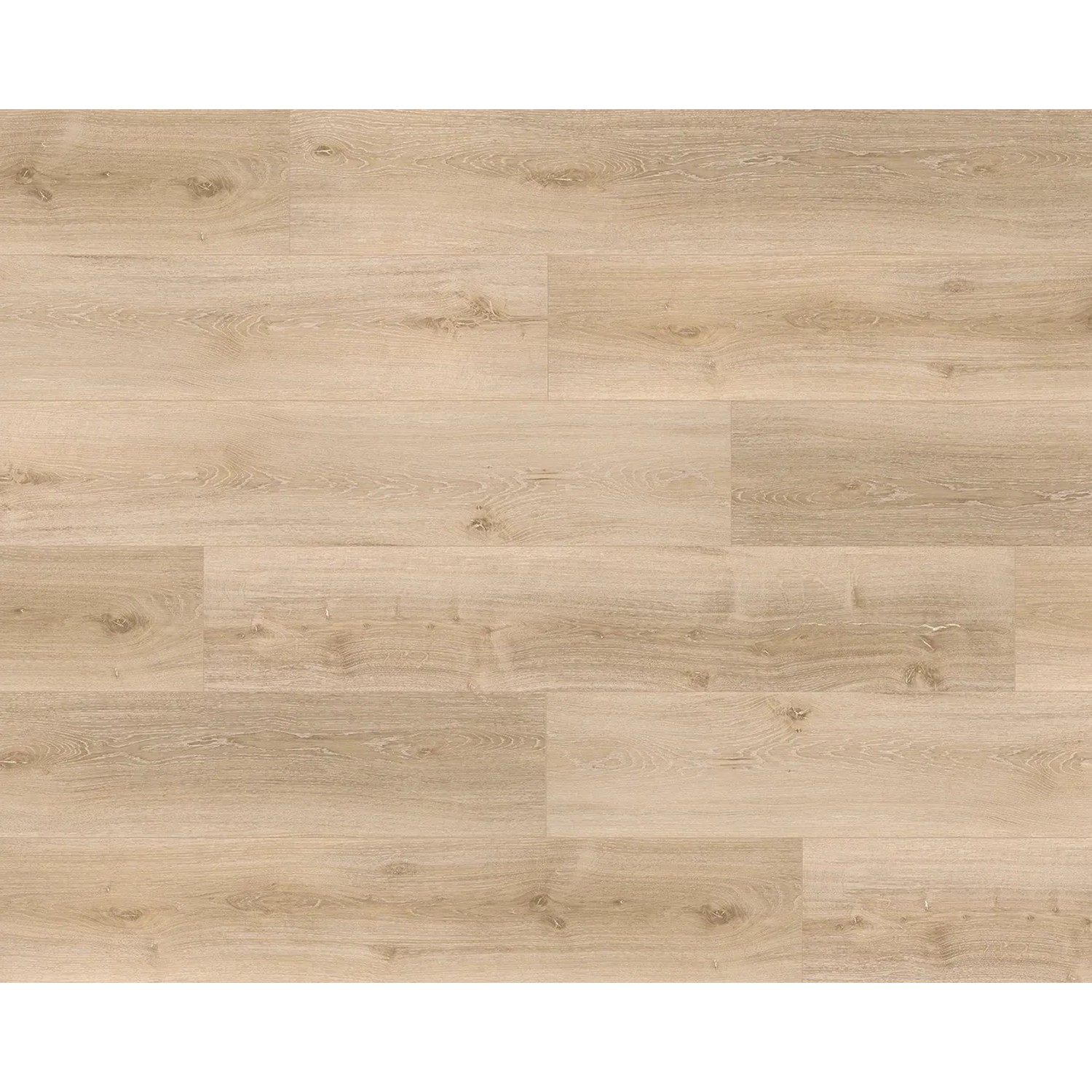 Parador Vinylboden Basic 5.3 Eiche Royal hell gekälkt, Holzoptik. Vinylboden für Wohn- und Gewerberäume.