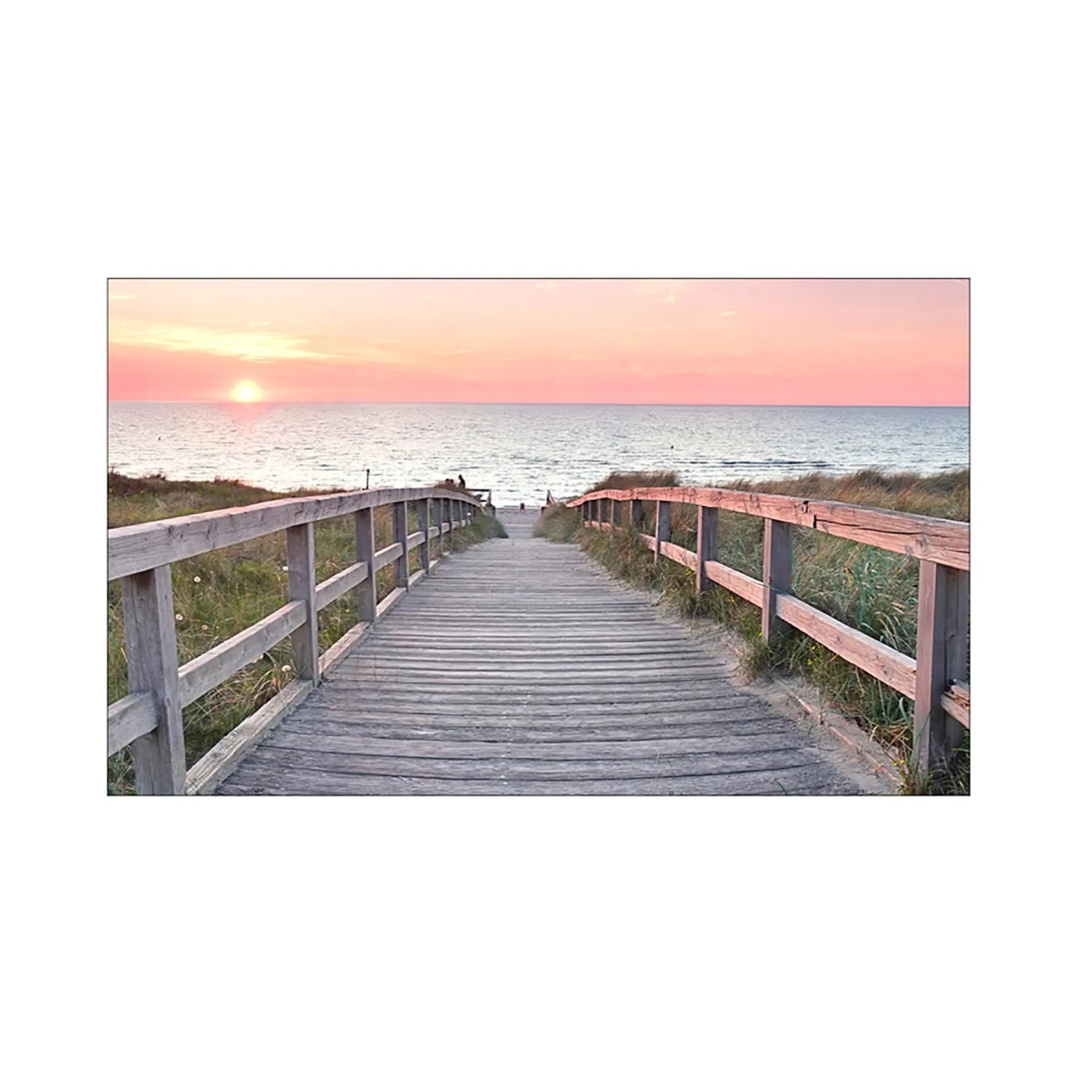 MySpotti Küchenrückwand Profix Cucina Osteestrand 100 x 60 cm Pink
