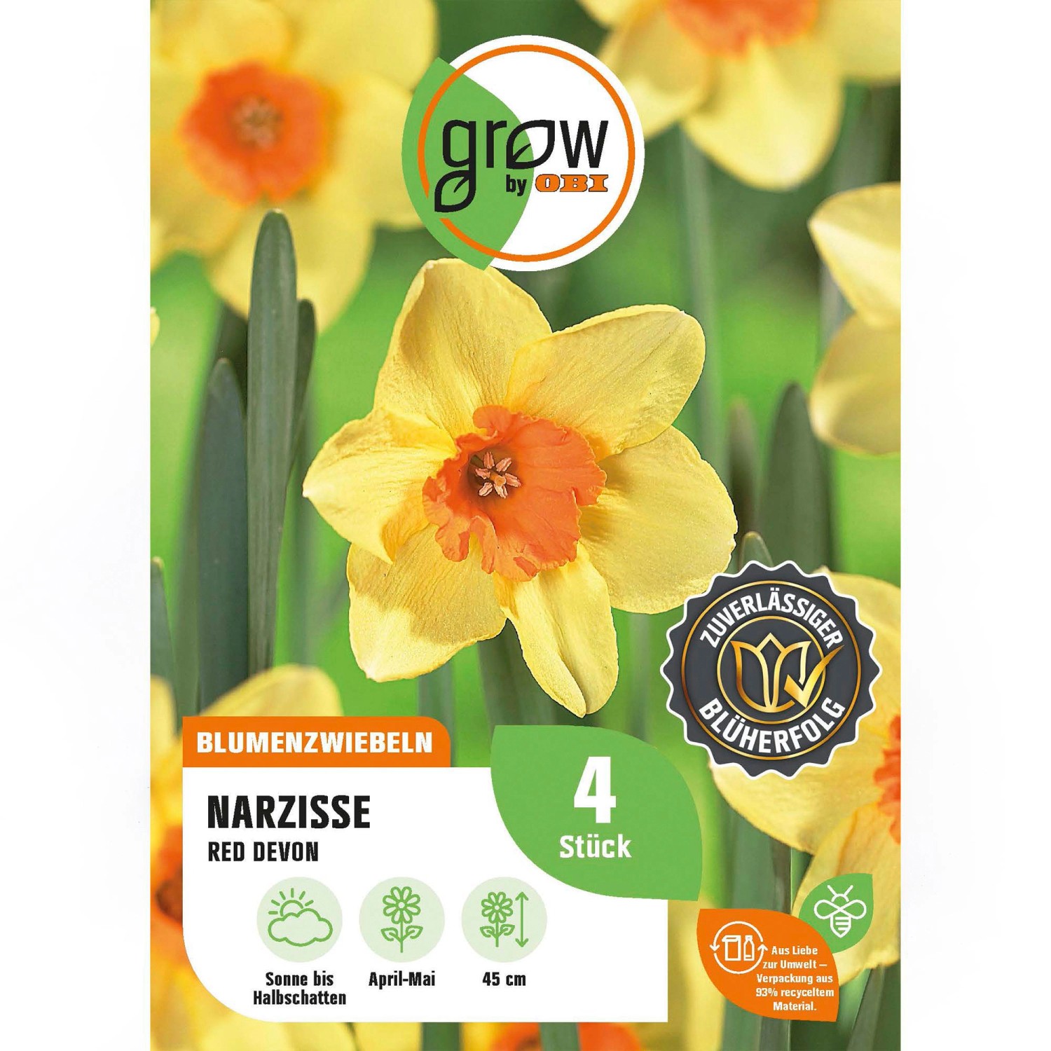 GROW by OBI Narzisse Red Devon Gelb 4 Stück Narcissus large cupped Red Devo günstig online kaufen