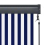 vidaXL Außenrollo, 100x250 cm, blau-weiß gestreift, mit Handkurbel.