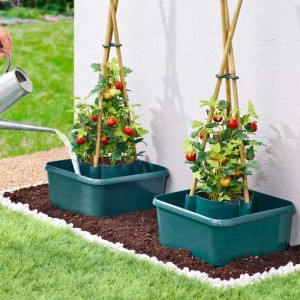 Grünes Westfalia Pflanzgefäß mit Wasserspeicher aus Kunststoff. Eine Hand gießt Tomatenpflanzen mit Rankhilfe im Garten.