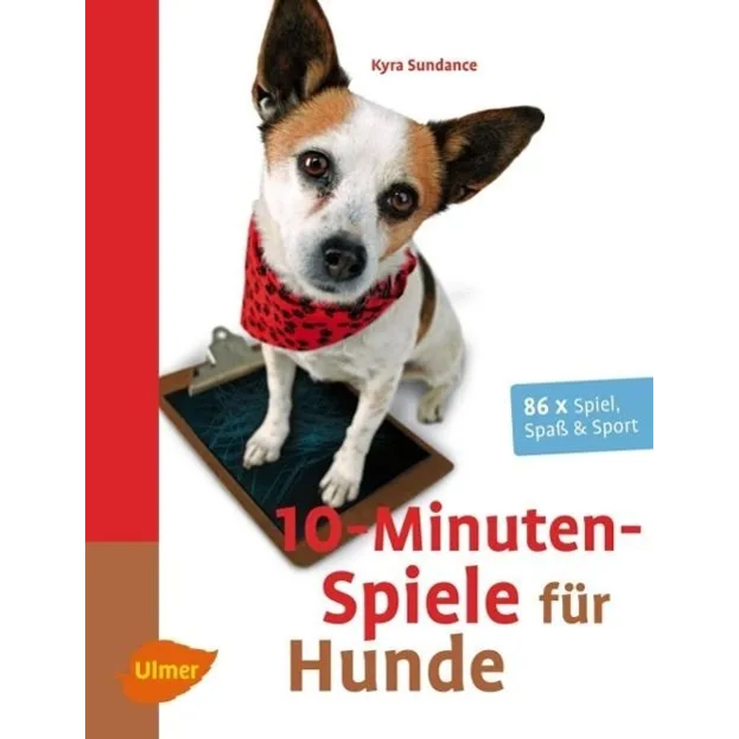 10-Minuten-Spiele für Hunde