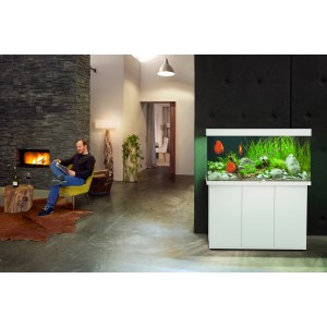 Weißes Juwel Aquarium-Set Rio LED 350 l im Wohnraum mit Fischen und Pflanzen.