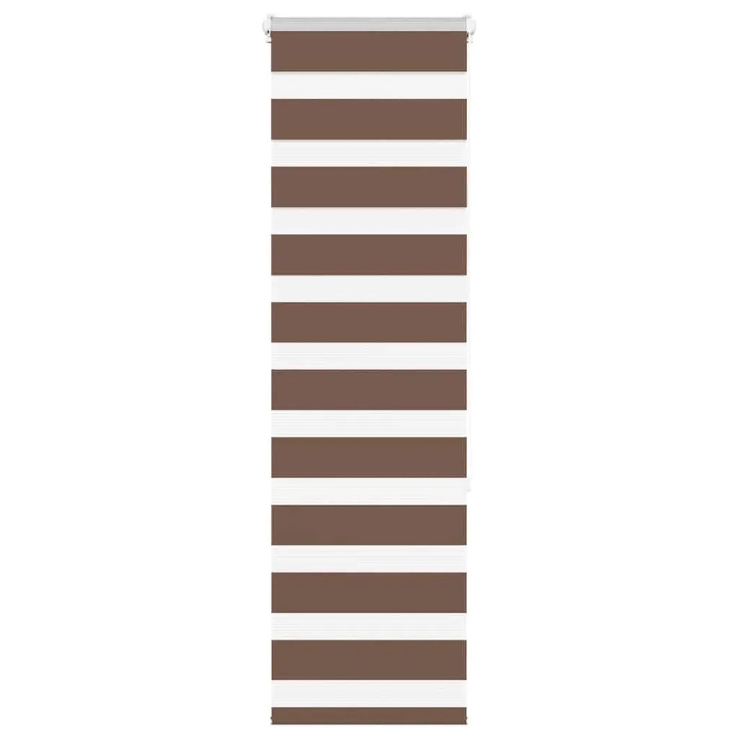 vidaXL Doppelrollo Braun 40x150 cm Stoffbreite 35,9 cm Polyester 4014327