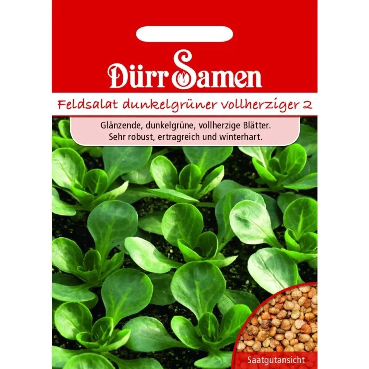 Dürr Samen Feldsalat Dunkelgrüner Vollherziger Saatgut