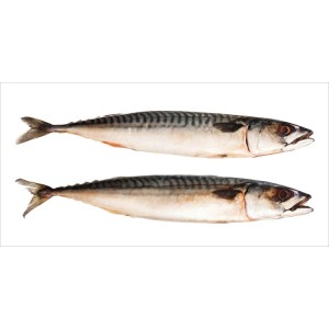 ESTAhome Wandtattoo Fische Grau, 97x48,5cm. Graue Fisch-Illustration für Wandgestaltung.