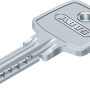 Schlüssel für Abus Profilzylinder D6XNP, silberfarben.