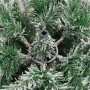 Detailaufnahme: Beschneiter, klappbarer, künstlicher Weihnachtsbaum (210 cm) von vidaXL.