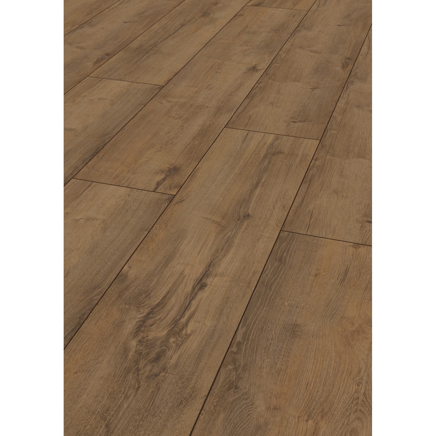 Jangal Laminatboden Oak National Park Line Pro Muddus günstig online kaufen