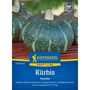 Kiepenkerl Kabocha Kürbis Yamato F1-Hybride, dunkelgrüne Früchte mit hellem Muster.