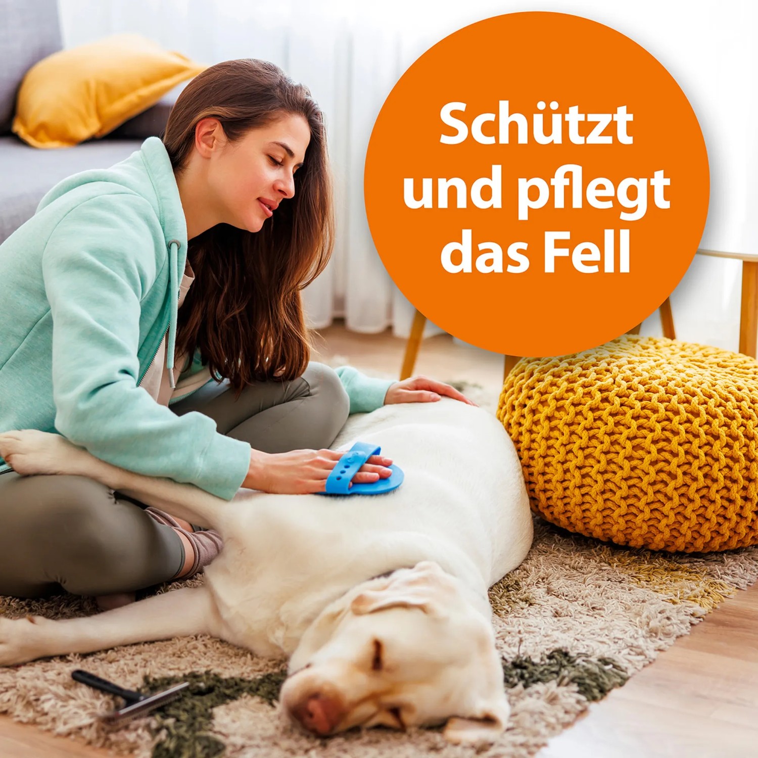 Frau bürstet Hund mit Anti-Zecken-Shampoo. Für frisches, hygienisches Fell.