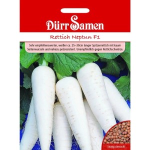Dürr Samen Rettich Neptun F1 Saatgutpackung mit langen, weißen Rettichen und Samenansicht.
