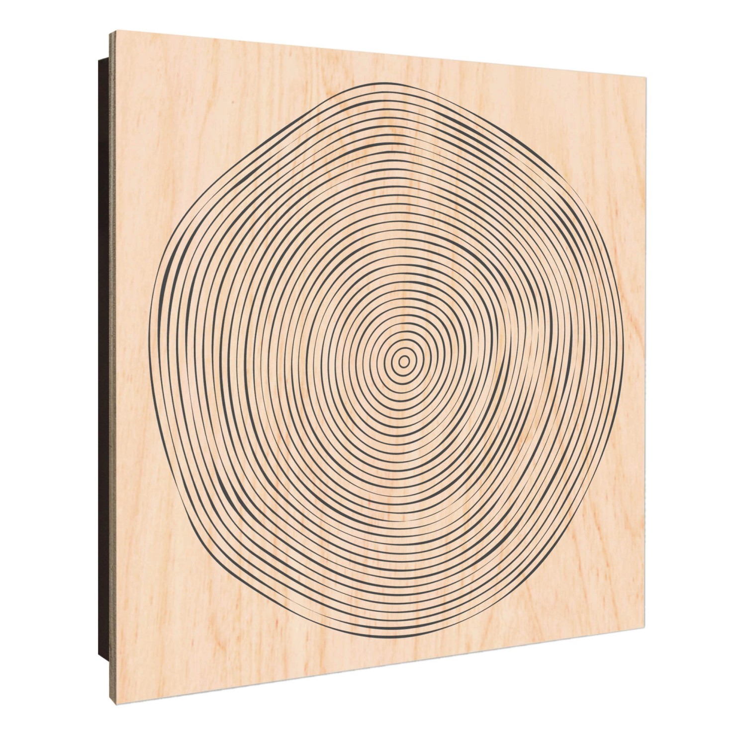 Banjado Schlüsselkasten Holz 30x30cm Schwarz Scharnier Rechts 50 Haken Desi günstig online kaufen