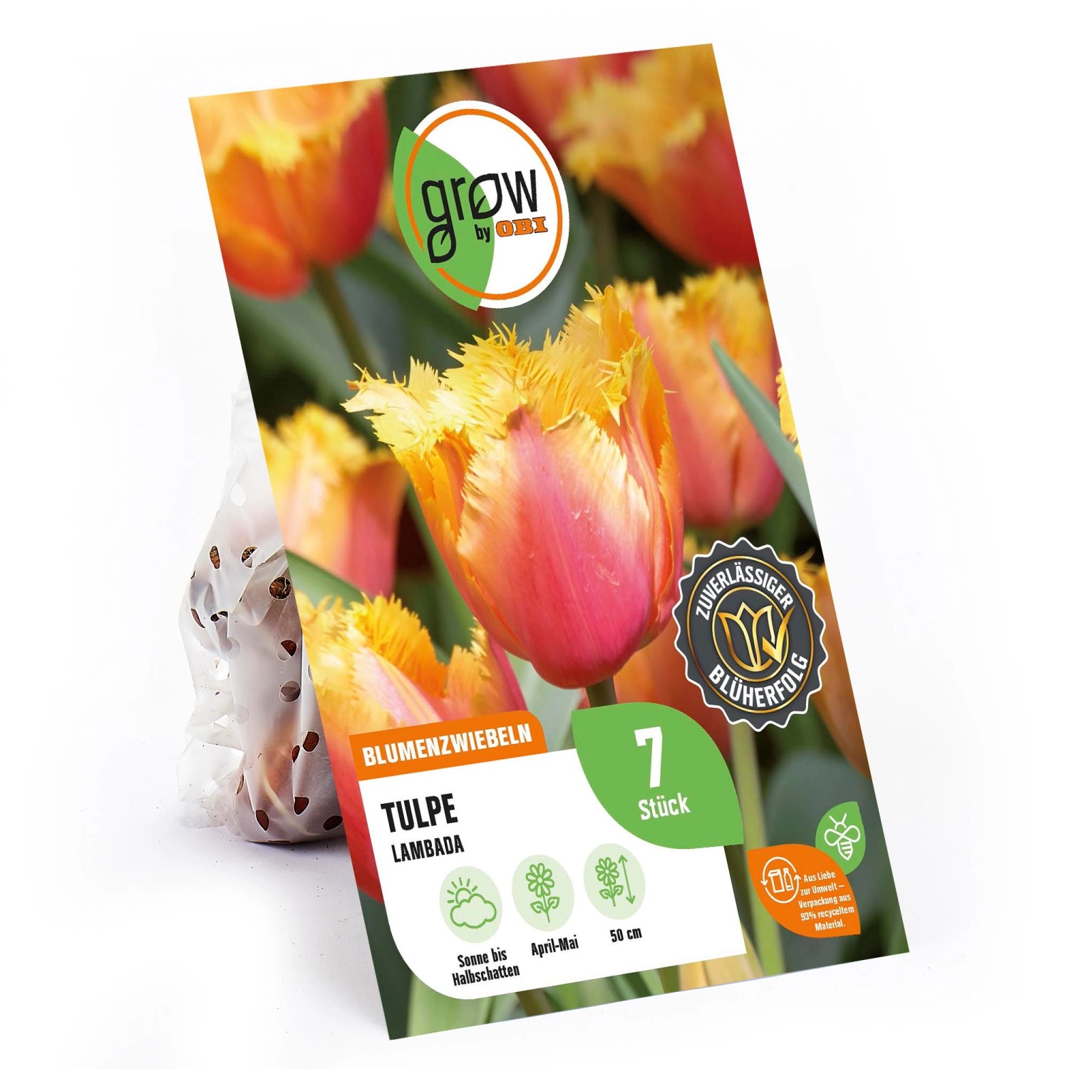 GROW by OBI Crispa-Tulpe Lambada Lachs-Orange 50 cm Tulipa günstig online kaufen